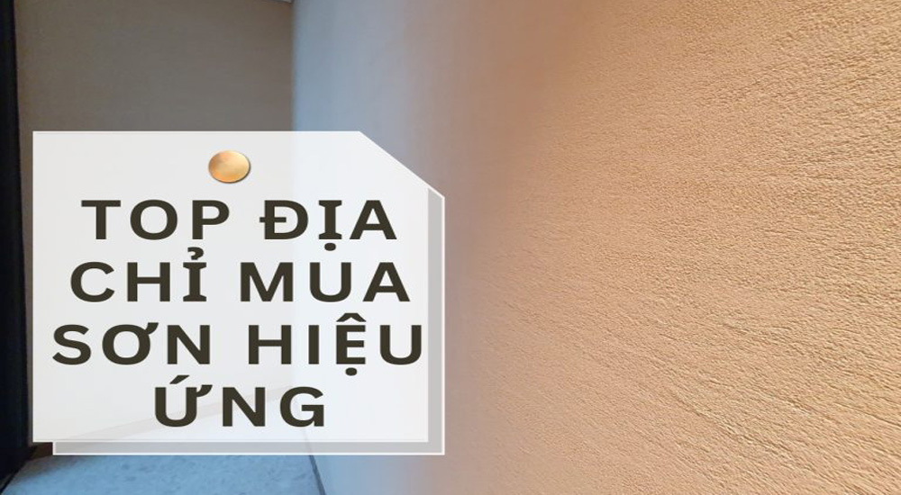 Tổng hợp các địa chỉ uy tín dành cho bạn
